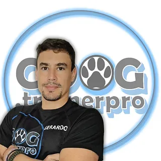 GDOG.Trainerpro